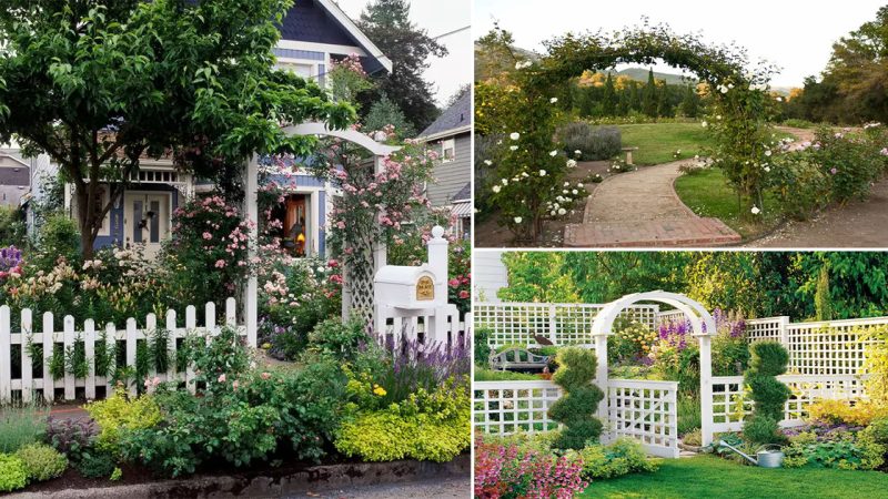 The Enchanting Appeal: 12 Garden Arch Trellis Ideas to Elevate Your Landscape