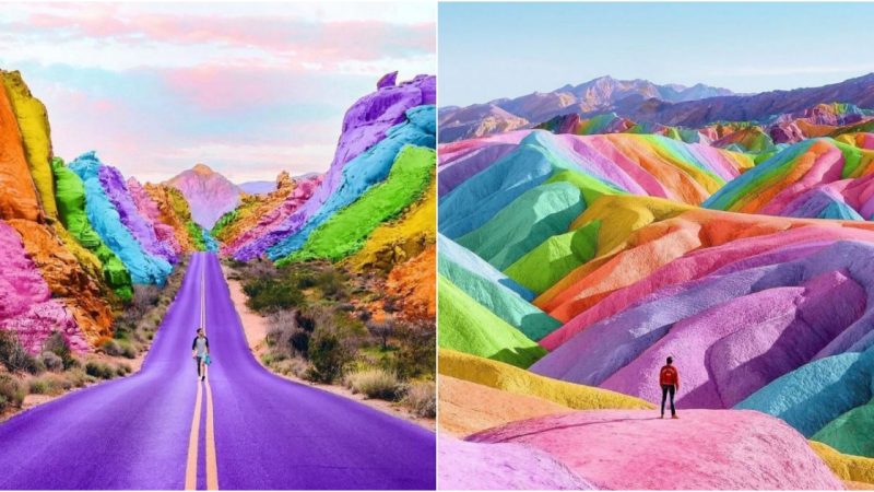 Transforming Images into Mesmerizing Rainbow Creations: Unleashing the Vibrancy of Color through the Eyes of a New York Artist