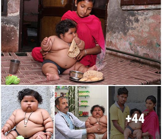 Witness the enormous 8-month-old baby weighing a staggering 38LBS