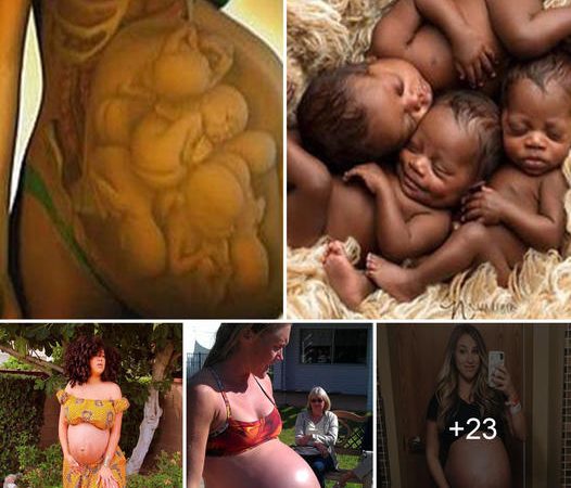 Exploring Multiple Pregnancies: Captivating Visuals You Must See