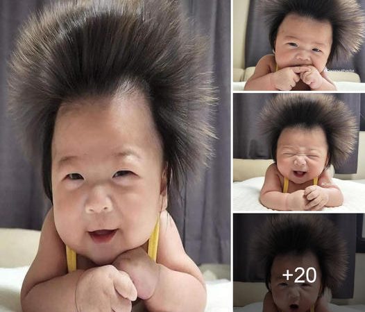 Mesmerizing Hairstyle of the Baby Captivates Many Admirers