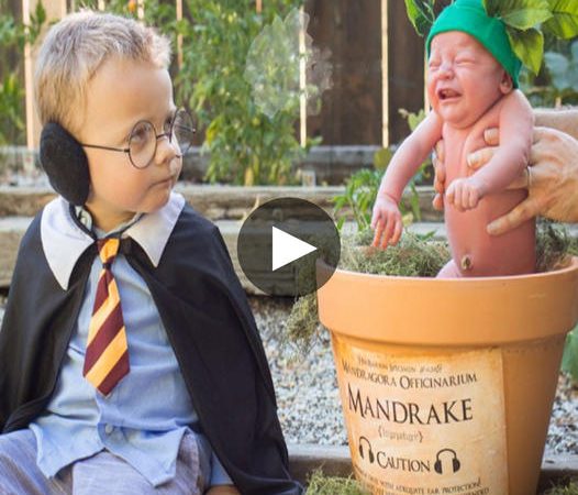 Adorable Harry Potter-Themed Newborn Photoshoot Goes Viral, Melting Hearts Everywhere