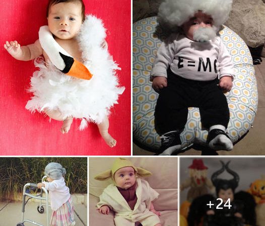 Charming Halloween Transformations: Baby “Spaghetti,” Baby Swan, Baby Lobster, and More Adorable Little Costumes.