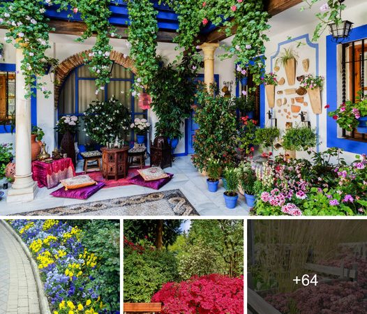 68 Astonishing Front Yard Landscaping Surprises