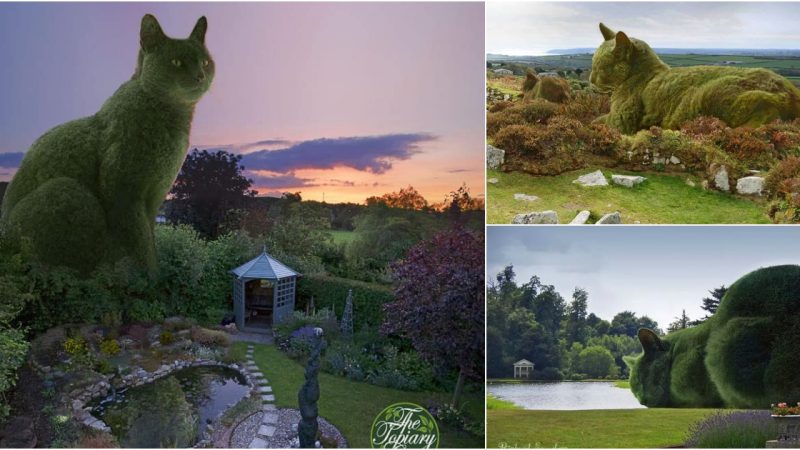 The Surrealist Artistry: Reviving a Topiary Cat with Remarkable Talent