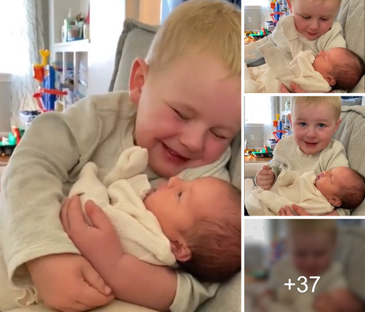 A Boy’s Heartwarming Emotions Unveiled as He Cares for His Baby Sister (Video)