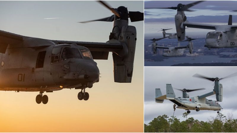 CN-235 and C-295 Medium-Range Transport Aircraft: Versatile Airborne Solutions