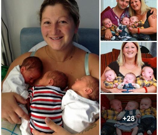 A Mother’s Triumph: Welcoming Triplets as a Beacon of Hope After Tragic Loss