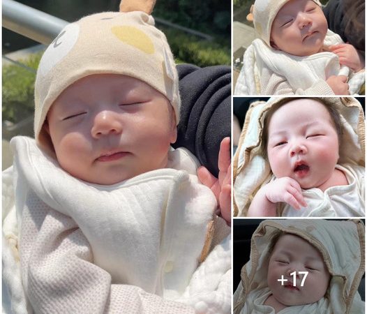 A Heartwarming Scene: Newborn Babies Bathed in Sunlight