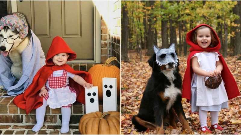 Little Red Riding Hood: A Modern Retelling