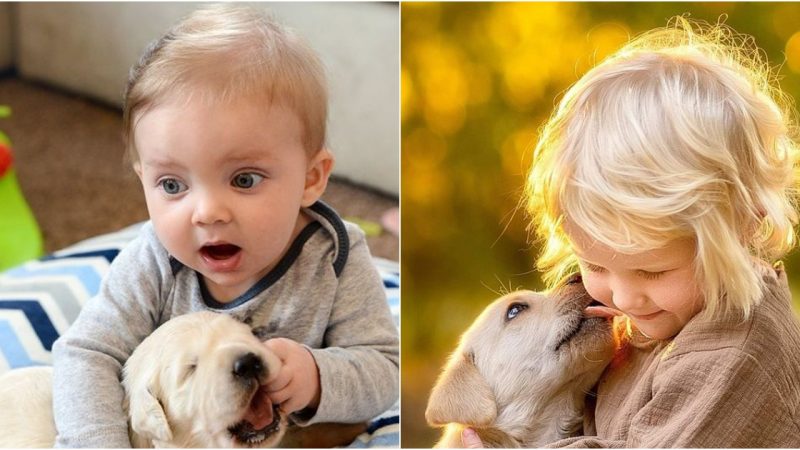 Pets: Children’s Closest Companions