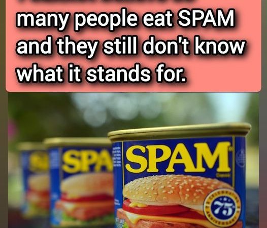 Uncovering the Secrets of SPAM: A Cultural Icon