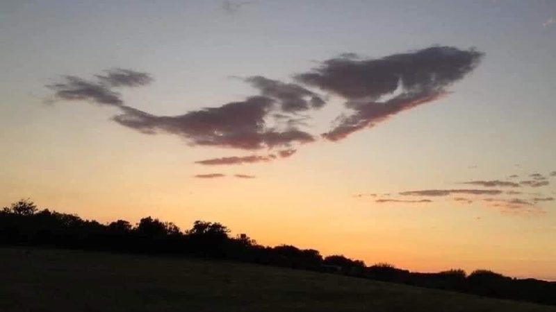 Look: Sky Whale Spotted over Texas; The Science of Pareidolia Explained🌅☁️