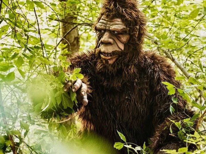 Bigfoot Heard ‘Screaming and Whooping’ in Connecticut’s Sasquatch Hotspot, Spooking Local Wildlife