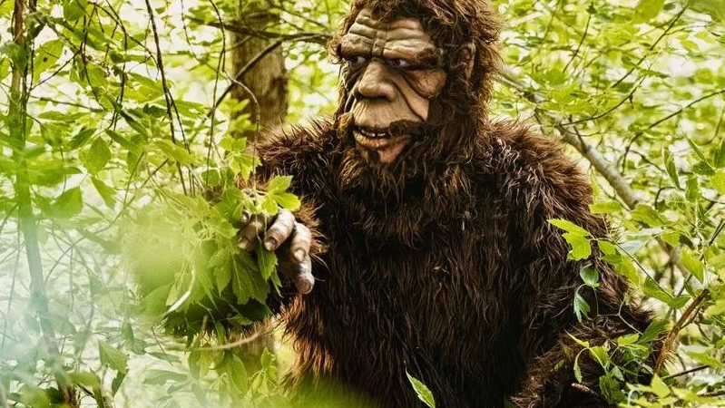 Bigfoot Heard ‘Screaming and Whooping’ in Connecticut’s Sasquatch Hotspot, Spooking Local Wildlife